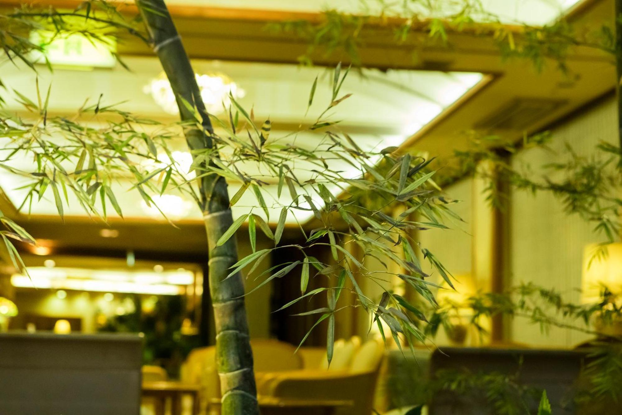 Hakone Yumoto Onsen Hotel Kajikaso 4* Hakone